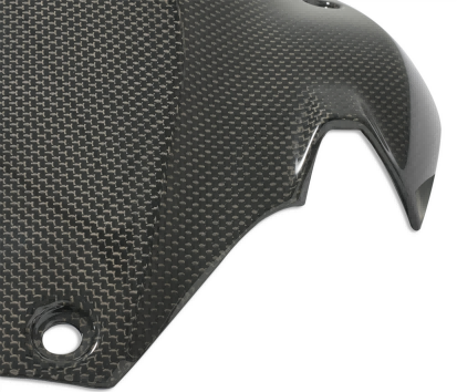 Ducati 1199 100% Carbon Fiber Rear Hugger Fender Mud-guard